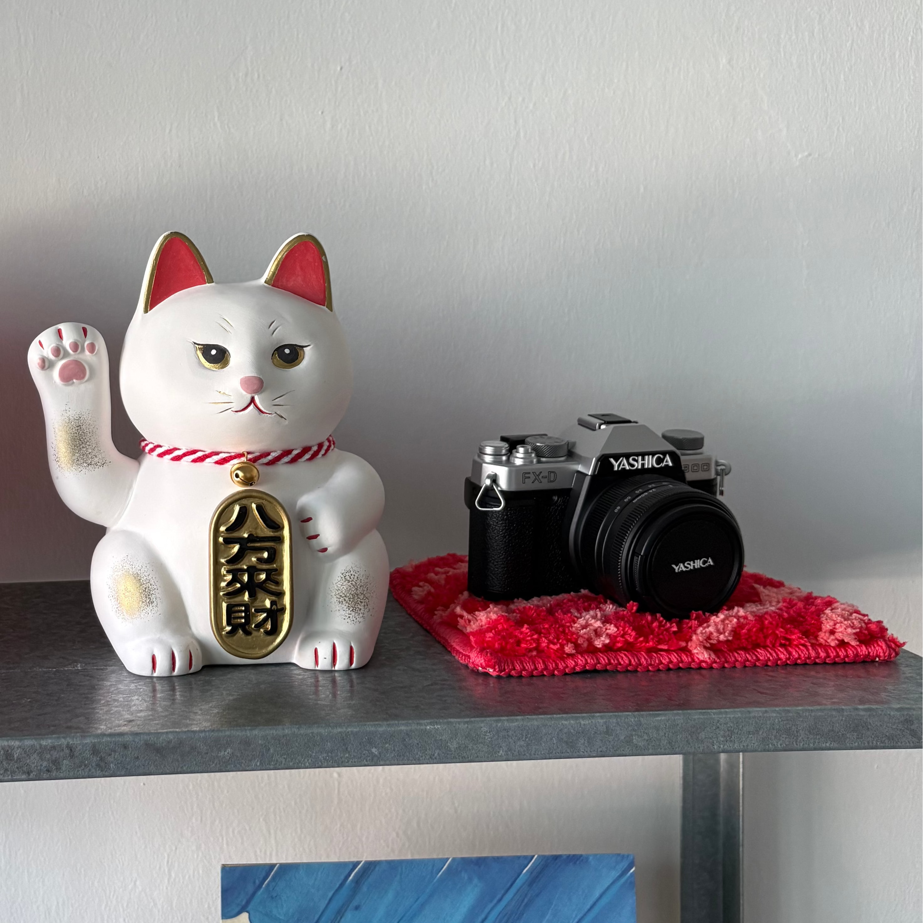 Fluffy Sashimi Coaster