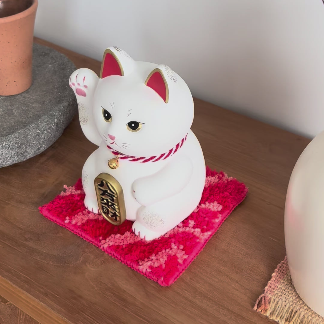 Da Bai Mao (Big White Cat)